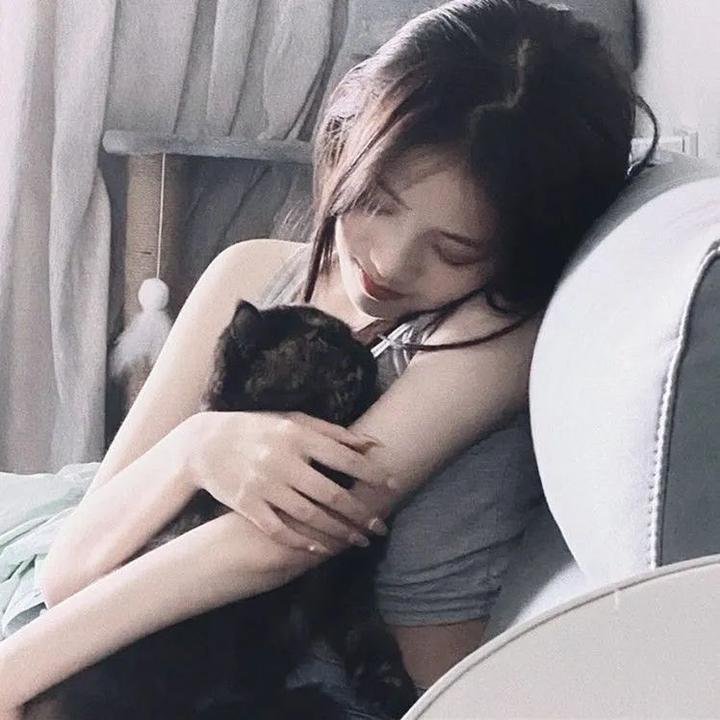 关于灰鸽子的歌
